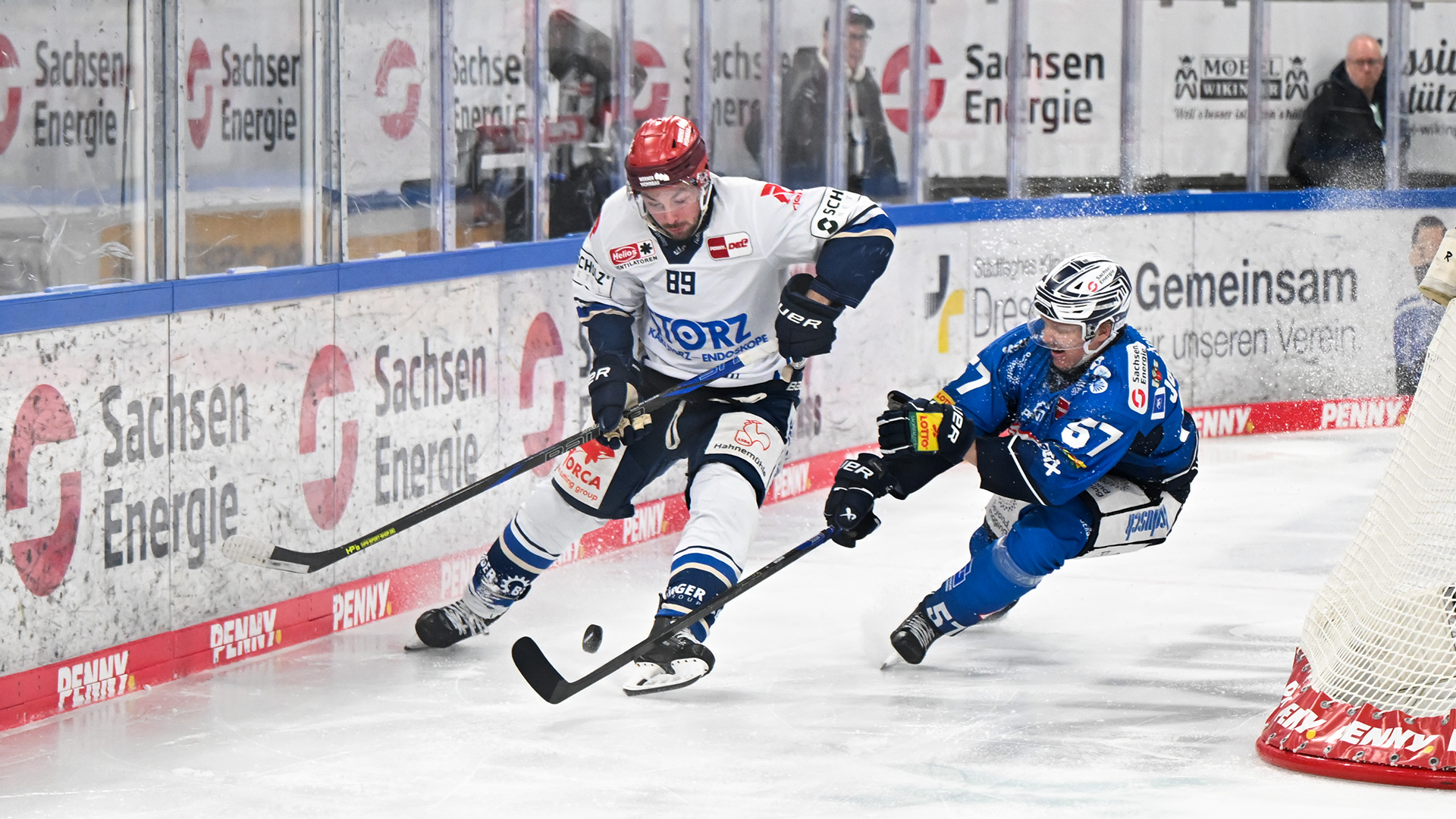 Dresdner Eislöwen gg. Schwenninger Wild Wings